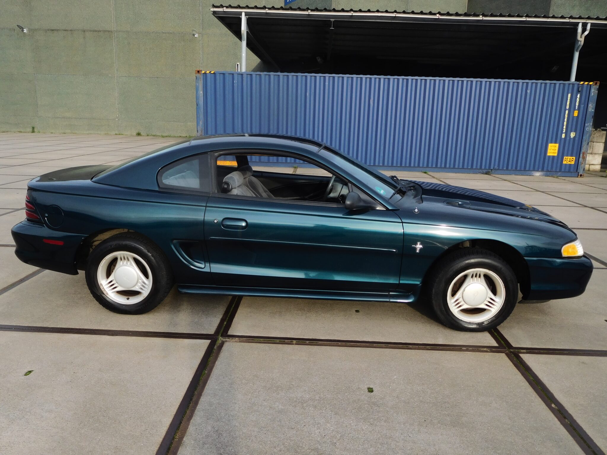 ford mustang 96 okt 2024 (3)